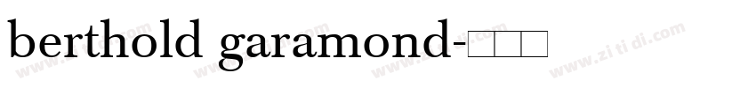 berthold garamond字体转换